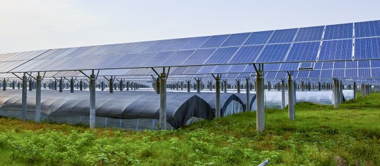 Vente d&rsquo;une entreprise agricole dot&eacute;e de panneaux photovolta&iuml;ques&nbsp;: quelle exon&eacute;ration fiscale&nbsp;?
