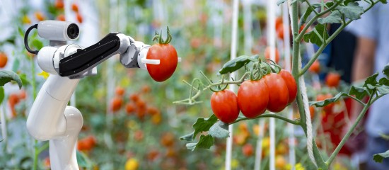 Aide &agrave; l&rsquo;acquisition de mat&eacute;riels agricoles innovants