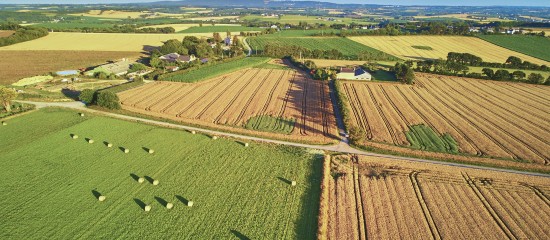 Le march&eacute; des terres agricoles en&nbsp;2021