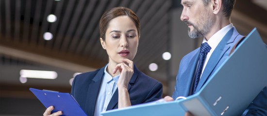 Contr&ocirc;le fiscal et information de la soci&eacute;t&eacute; m&egrave;re int&eacute;gr&eacute;e