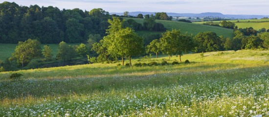 Un droit de pr&eacute;emption sur des terrains agricoles pour pr&eacute;server la ressource en eau