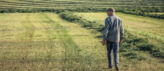 La reprise par le bailleur des terres lou&eacute;es apr&egrave;s le d&eacute;c&egrave;s du locataire