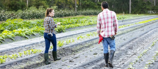 Renouvellement du bail rural au profit d&rsquo;un seul des conjoints colocataires