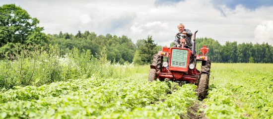 Du nouveau pour la fiscalit&eacute; des exploitations agricoles