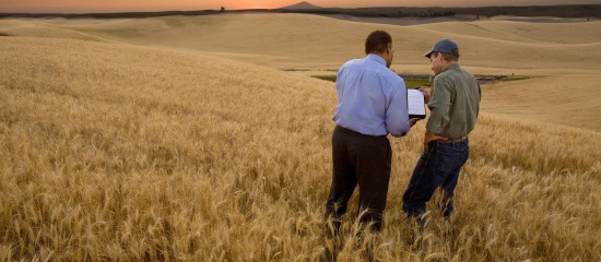 Les cessions de parts de soci&eacute;t&eacute;s agricoles d&eacute;tenant du foncier sous contr&ocirc;le&nbsp;!
