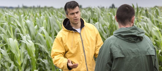 Quand le bailleur s&rsquo;oppose au renouvellement du bail rural sans d&eacute;livrer de cong&eacute;