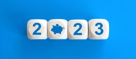 La loi de finances pour&nbsp;2023 est publi&eacute;e&nbsp;!