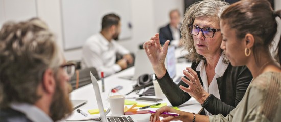 Le m&eacute;c&eacute;nat de comp&eacute;tences dans la fonction publique