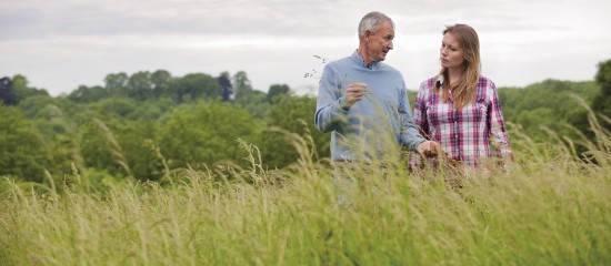 Am&eacute;nagements de dispositifs sp&eacute;cifiques &agrave; la fiscalit&eacute; agricole