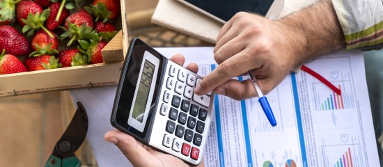 Exploitants agricoles&nbsp;: une seule d&eacute;claration de revenus en&nbsp;2023