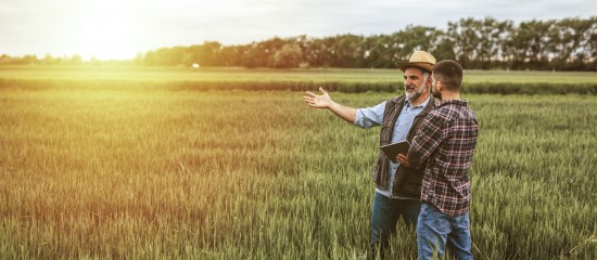 Mise &agrave; disposition d&rsquo;une soci&eacute;t&eacute; de terres agricoles lou&eacute;es : gare &agrave; l&rsquo;information du bailleur&nbsp;!