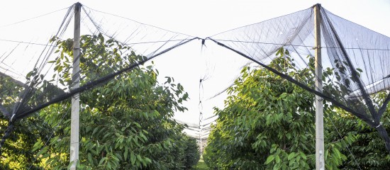 Aide aux investissements prot&eacute;geant les exploitations agricoles contre les al&eacute;as climatiques