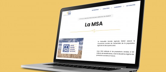 Quel r&eacute;gime social pour le pr&eacute;sident d&rsquo;une SAS exer&ccedil;ant une activit&eacute; agricole&nbsp;?
