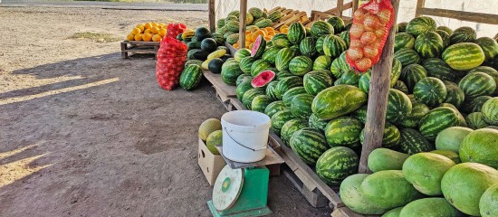 Vente au d&eacute;ballage&nbsp;: une amende forfaitaire possible en cas d&rsquo;irr&eacute;gularit&eacute;