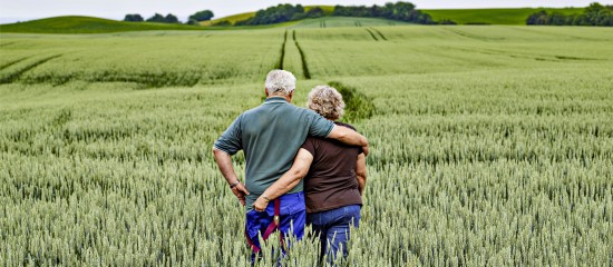 Transmission du bail rural au conjoint de l&rsquo;exploitant d&eacute;c&eacute;d&eacute;&nbsp;: &agrave; quelles conditions&nbsp;?