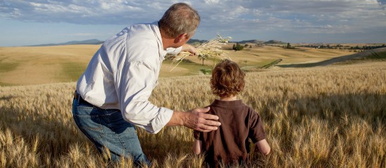 Non-salari&eacute;s agricoles&nbsp;: une meilleure indemnisation pour leur famille