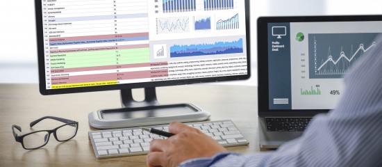 V&eacute;rification d&rsquo;une comptabilit&eacute; informatis&eacute;e&nbsp;: quel niveau d&rsquo;information donner &agrave; l&rsquo;entreprise&nbsp;?