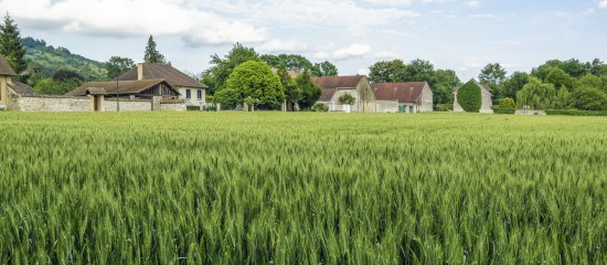 Exon&eacute;ration des biens ruraux lou&eacute;s par bail &agrave; long terme&nbsp;: du nouveau&nbsp;?