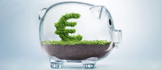 Vers la cr&eacute;ation d&rsquo;un livret vert&nbsp;?
