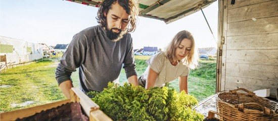 Jeunes agriculteurs&nbsp;: option pour le taux r&eacute;duit de la cotisation Amexa
