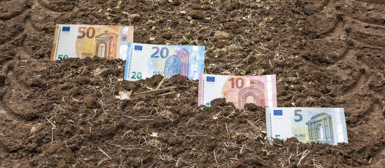 Les prix des terres agricoles en hausse en&nbsp;2022
