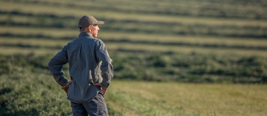 Bail rural&nbsp;: gare &agrave; la dissolution d&rsquo;une soci&eacute;t&eacute; colocataire sans en informer le bailleur&nbsp;!