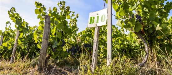 Agriculture biologique : le plan d&rsquo;aide aux exploitations est op&eacute;rationnel