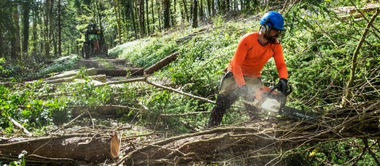 Agriculteurs&nbsp;: prorogation du taux de TVA &agrave; 10&nbsp;% sur vos travaux forestiers