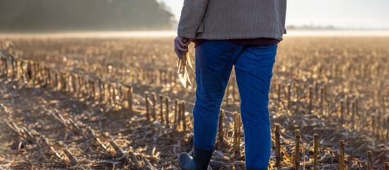 Fermages impay&eacute;s par un enfant &agrave; un parent&nbsp;: &agrave; rapporter &agrave; la succession&nbsp;?