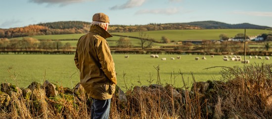 Mise &agrave; disposition &agrave; une soci&eacute;t&eacute; de terres agricoles lou&eacute;es&nbsp;: il faut les exploiter&nbsp;!
