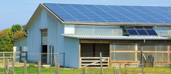 Exon&eacute;ration des plus-values des TPE et pluralit&eacute; d&rsquo;activit&eacute;s