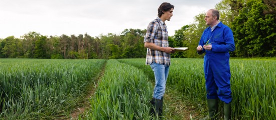 Quand un pr&ecirc;t &agrave; usage est requalifi&eacute; en bail rural
