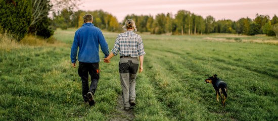 D&eacute;c&egrave;s d&rsquo;un exploitant agricole&nbsp;: &agrave; qui est transmis le bail rural&nbsp;?