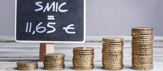 Le Smic fix&eacute; &agrave;&nbsp;11,65&nbsp;&euro; en&nbsp;2024