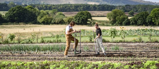 Une affiliation &agrave; la MSA pour les tr&egrave;s petits exploitants