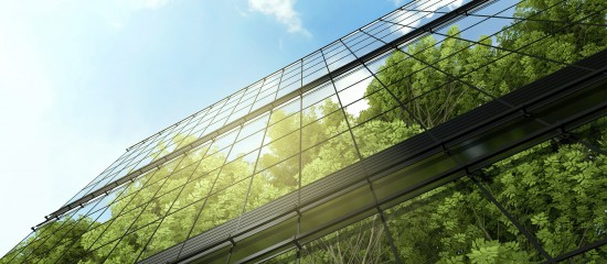 Obligation pour les grandes entreprises d&rsquo;&eacute;tablir un rapport de durabilit&eacute;