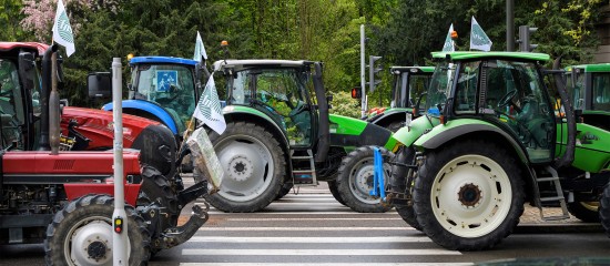 Le revenu des agriculteurs est presque 2&nbsp;fois inf&eacute;rieur &agrave; celui des autres non-salari&eacute;s