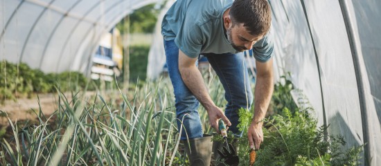 Agriculture biologique&nbsp;: le guichet pour percevoir une aide est ouvert