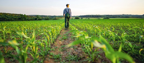 Quand une mise en demeure de payer le fermage n&rsquo;est pas retir&eacute;e