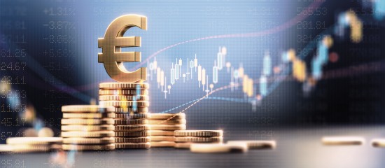 Fonds en euros&nbsp;: quel rendement en&nbsp;2024&nbsp;?