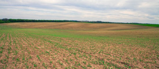Le prix des terres agricoles et viticoles en&nbsp;2023