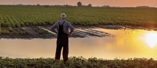 Des d&eacute;gr&egrave;vements de taxe fonci&egrave;re pour les agriculteurs victimes d&rsquo;une perte de r&eacute;coltes