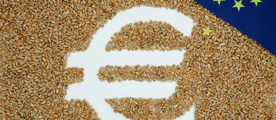 Exploitants agricoles&nbsp;: les montants&nbsp;2024 de certaines aides Pac
