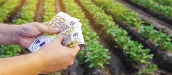 De nouvelles aides &agrave; la tr&eacute;sorerie pour les exploitants agricoles