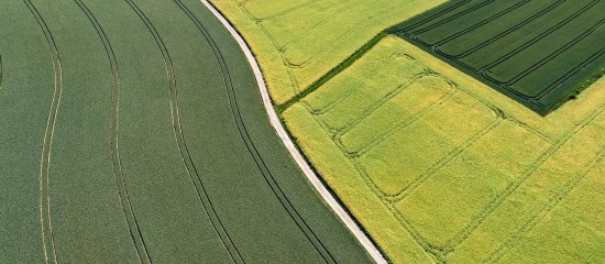 &Eacute;change de parcelles agricoles&nbsp;: les droits du locataire