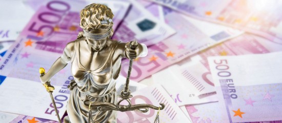 Les tribunaux des activités économiques entrent en fonction !