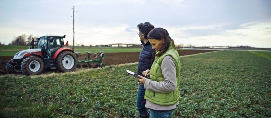 Acquisition de parcelles agricoles par substitution aux droits d&rsquo;une Safer&nbsp;: du nouveau&nbsp;!