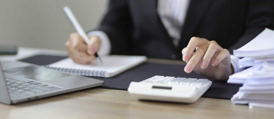 Bient&ocirc;t les d&eacute;clarations fiscales professionnelles&nbsp;2025