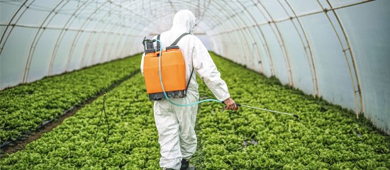 Exploitants agricoles : prolongation d&rsquo;un an des certiphytos arrivant &agrave; &eacute;ch&eacute;ance