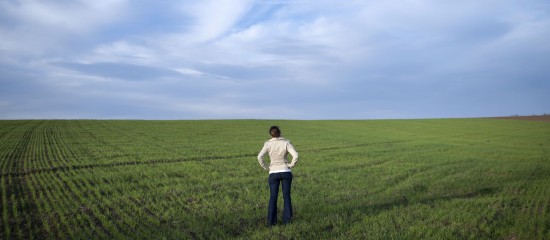Exploitants agricoles&nbsp;: b&eacute;n&eacute;fice d&rsquo;une pension d&rsquo;orphelin